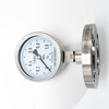 Diphragm Flange Pressure Gauge