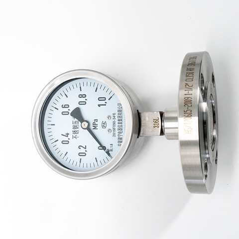 Diphragm Flange Pressure Gauge
