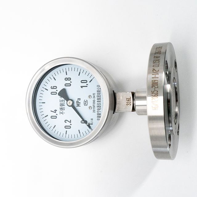 Diphragm Flange Pressure Gauge