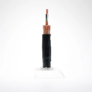 Instrument & Control Cable