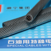 Logging Cable