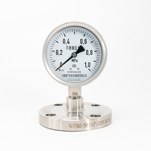 Diphragm Flange Pressure Gauge