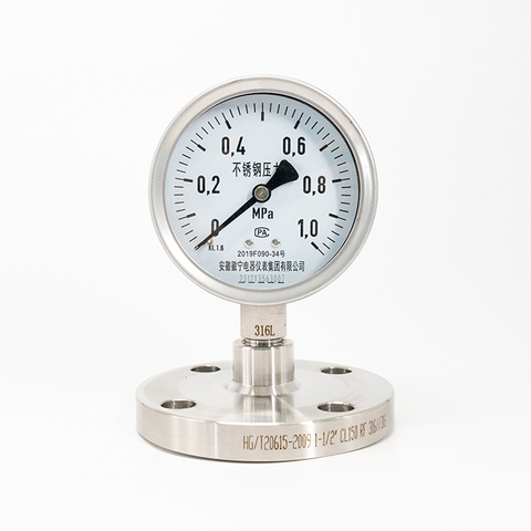 Diphragm Flange Pressure Gauge